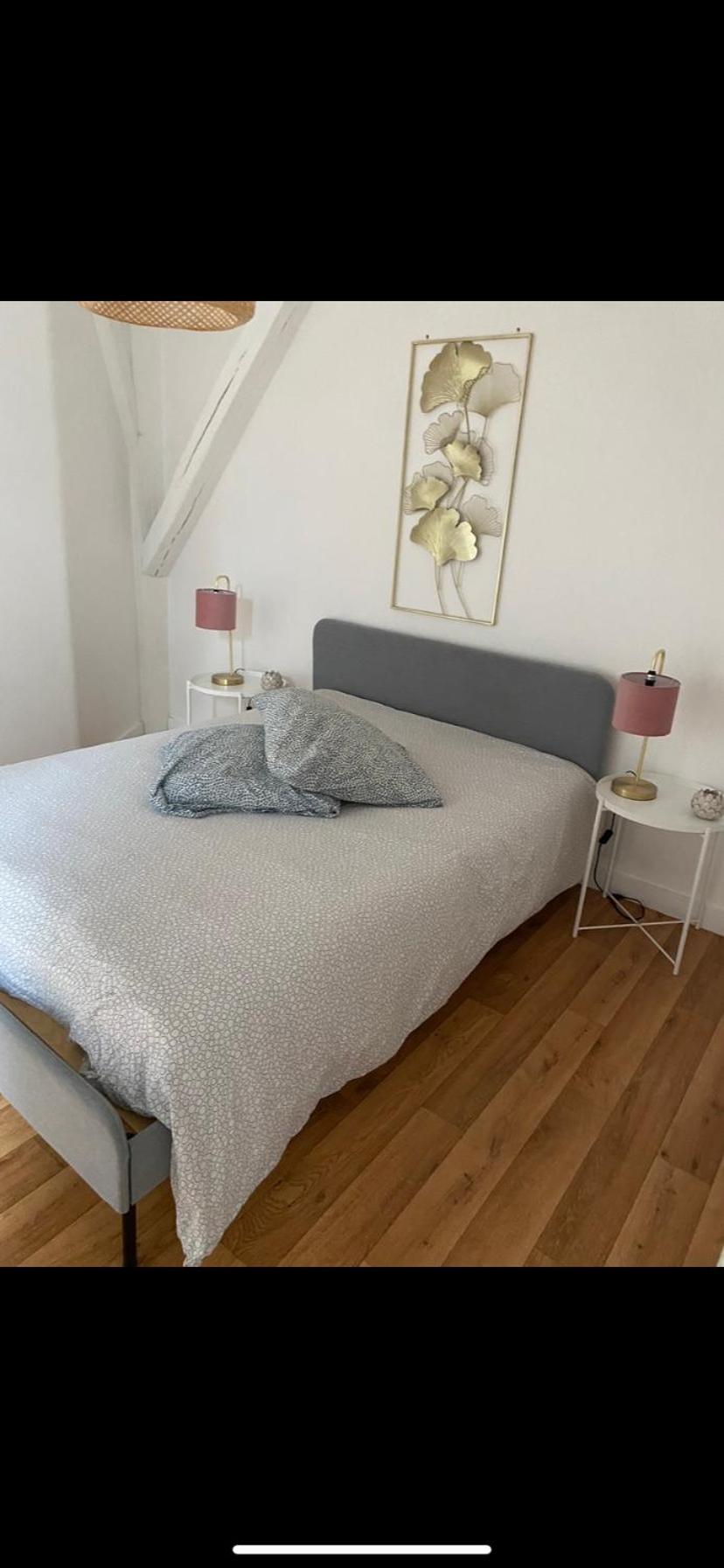 Magnifique Appartement Beaux Arts Tours Exterior photo
